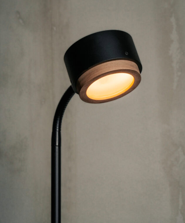 Alternative view of Jubi Wood 150